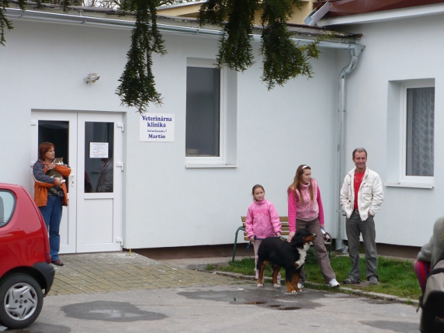 Fotografia z veterinárnej kliniky 1