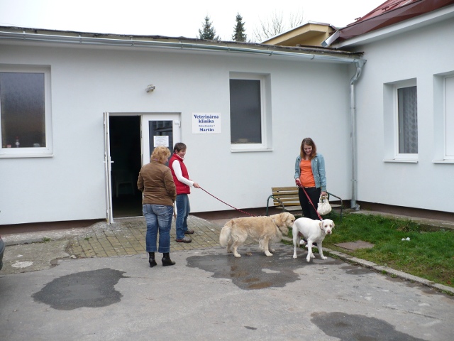 Fotografia z veterinárnej kliniky 4