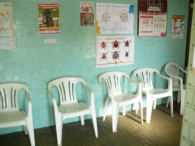 Fotografia z veterinárnej kliniky 7