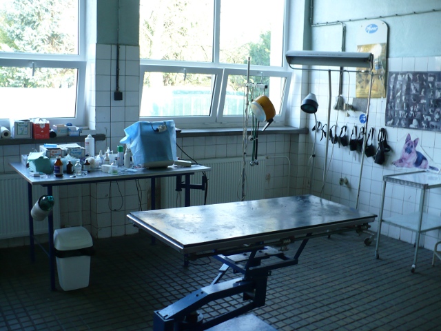 Fotografia z veterinárnej kliniky 8