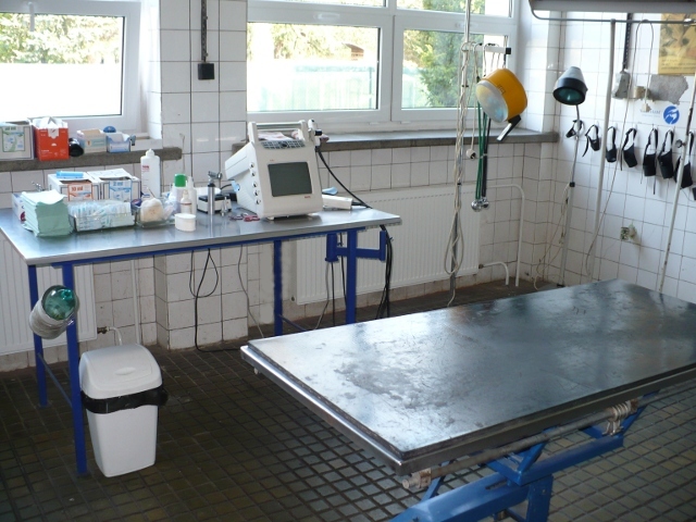 Fotografia z veterinárnej kliniky 9